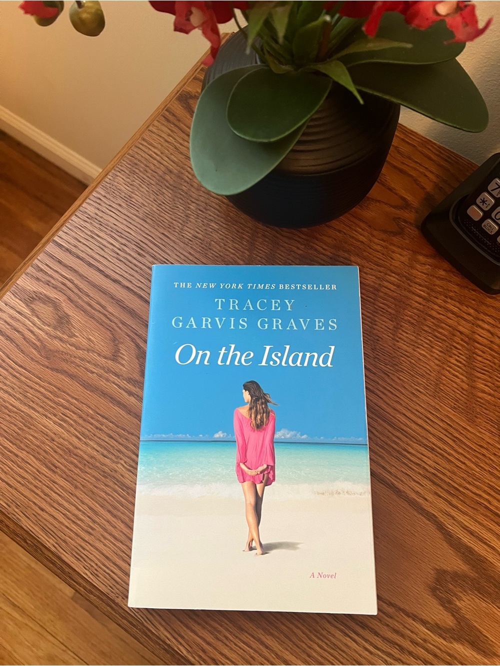Set of 2 Novels - On the Island & Sequel Novella Uncharted